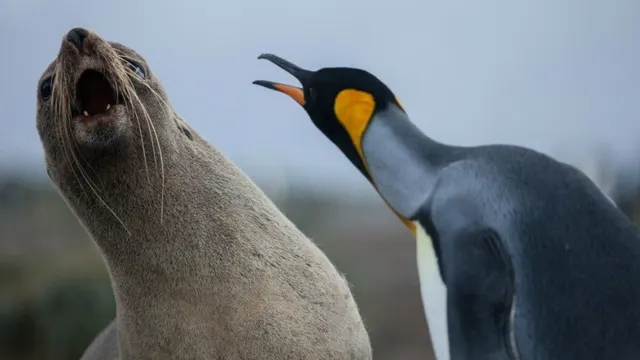 Lead image for “Linux Cryptographic Code Flaw Offers a Fast Route to Root”