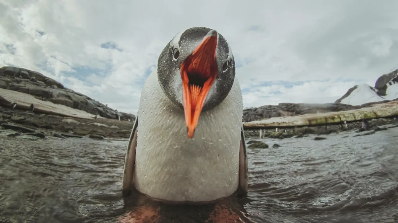Lead image for “Linux Kernel Flaw Exposes Root-Only Files to Unprivileged Users”
